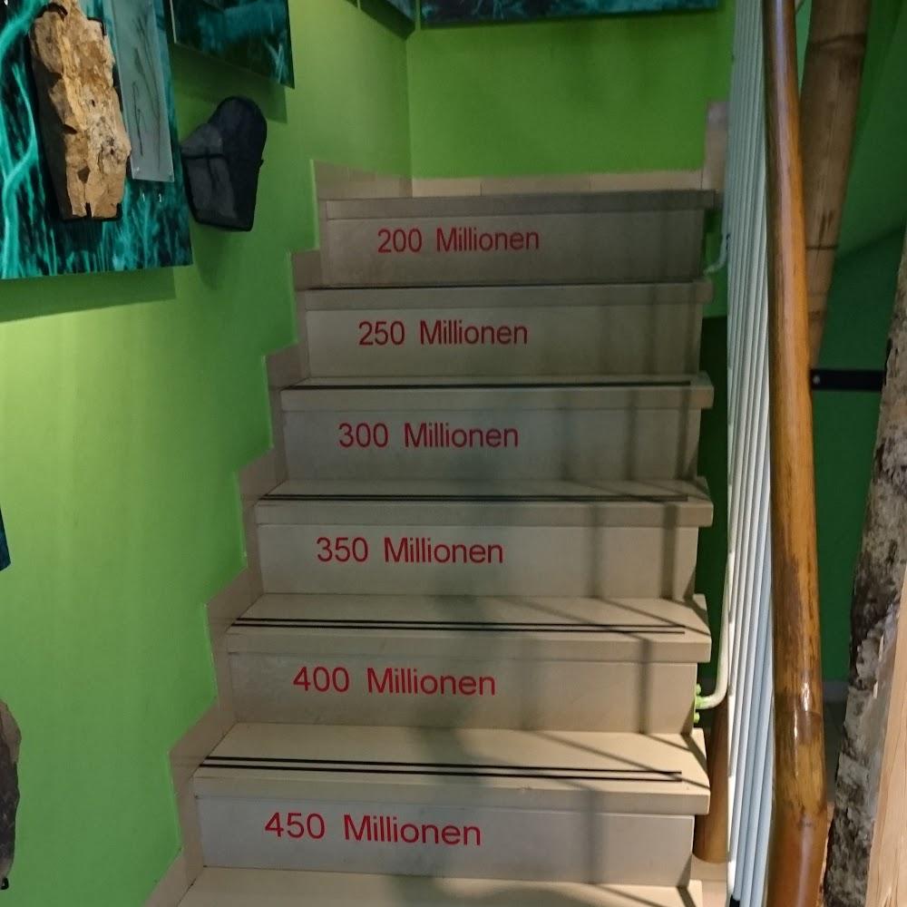 Staircase with numbered steps in millions.